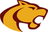 Oakton Cougars